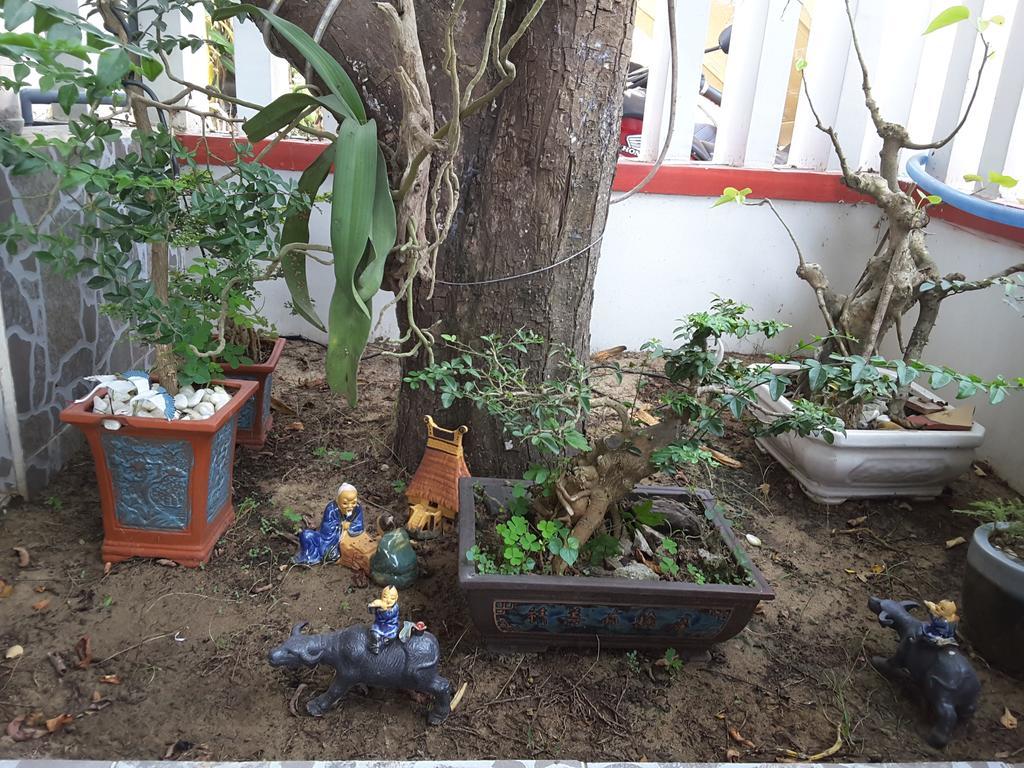 Golden Time Homestay Hội An Ngoại thất bức ảnh