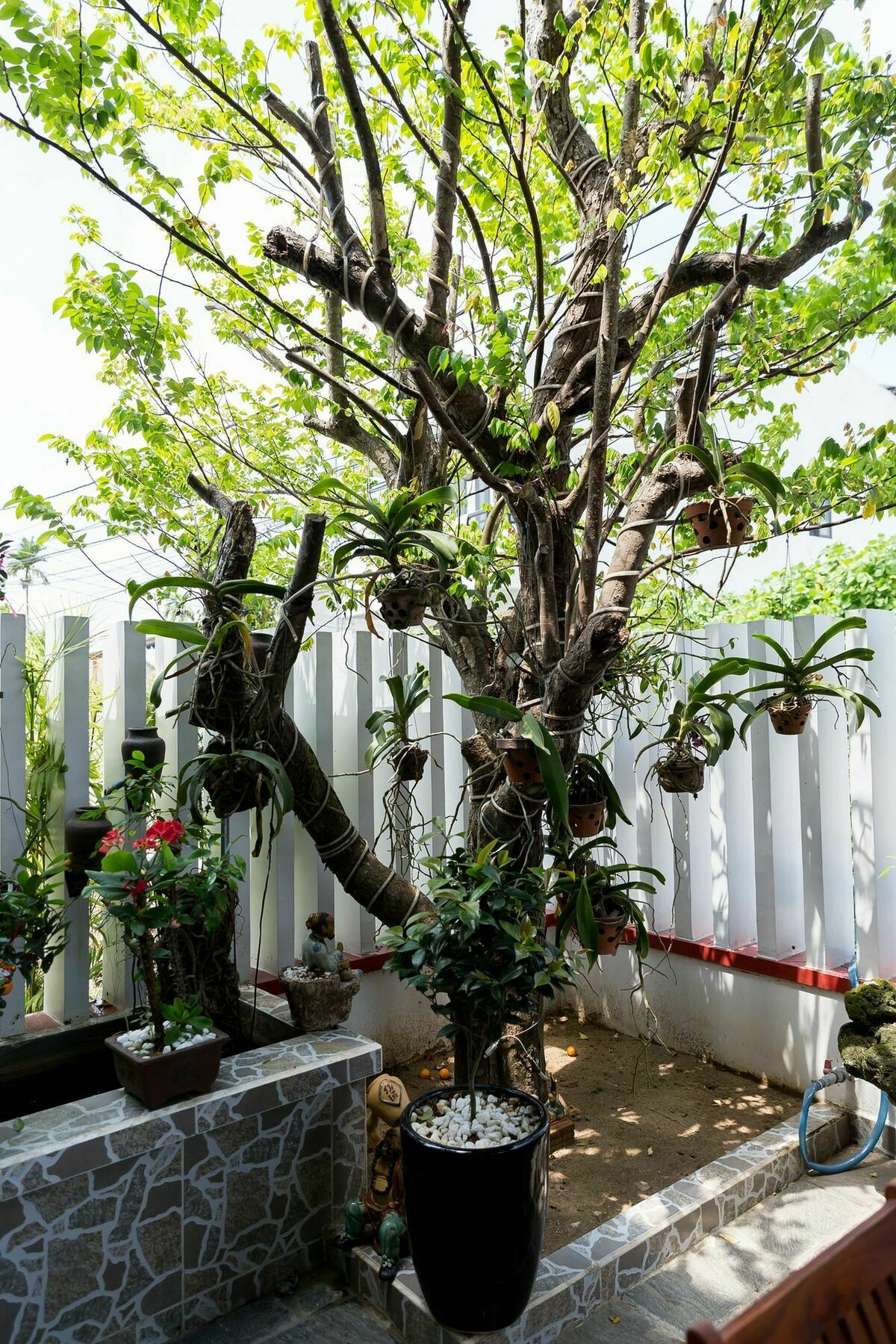Golden Time Homestay Hội An Ngoại thất bức ảnh